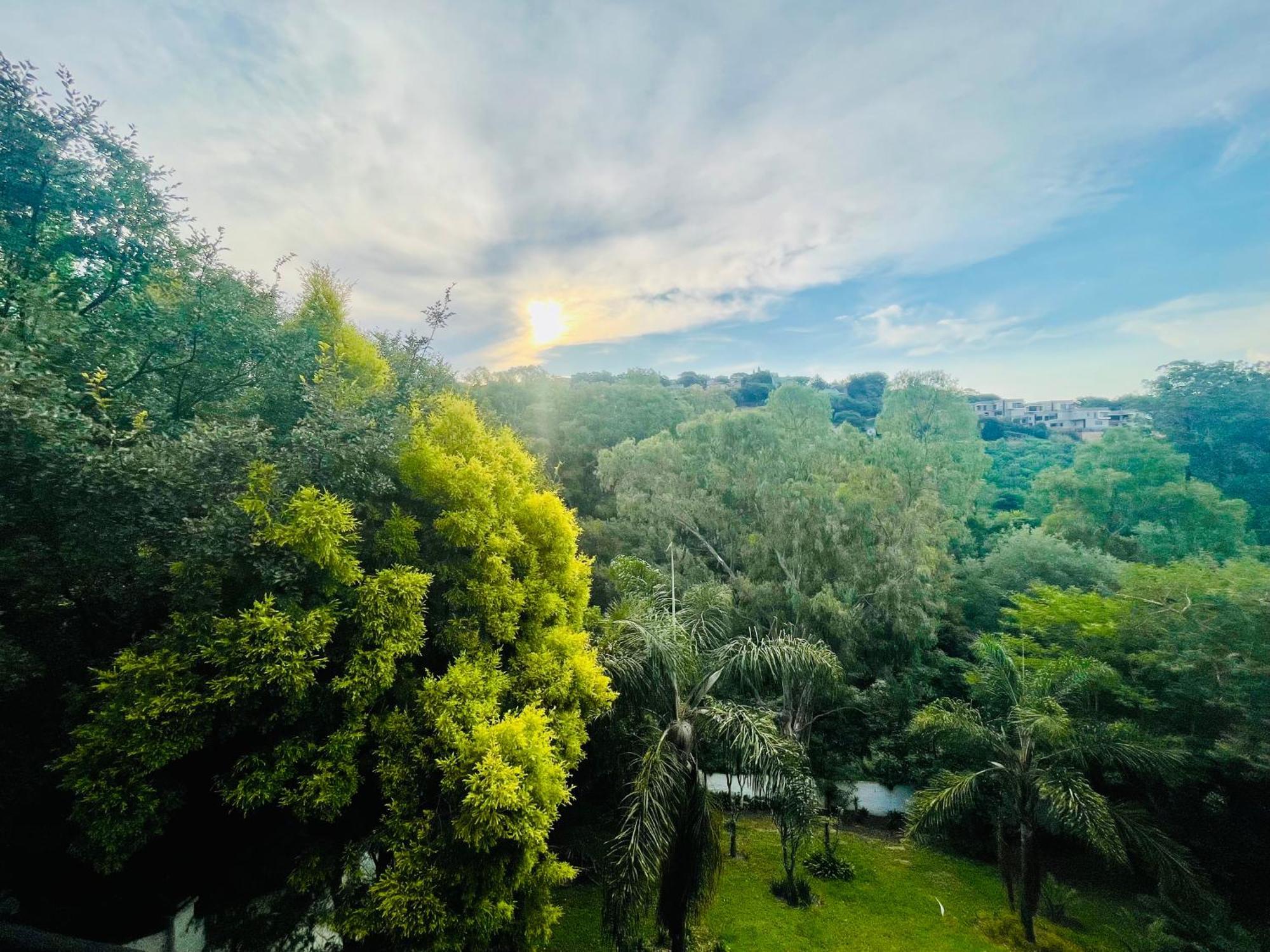 Pretoria Mansion Boutique Hotel Coral Tree エクステリア 写真